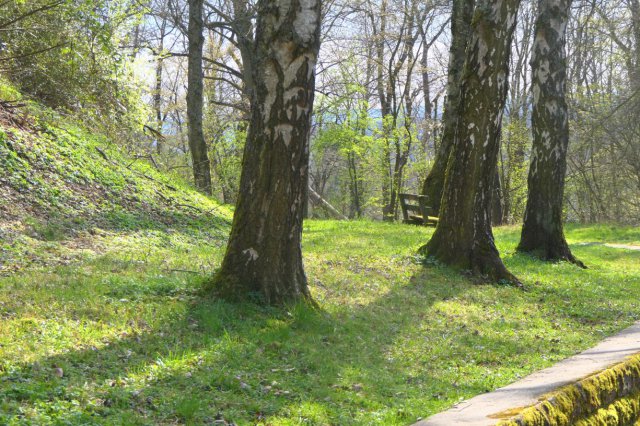 p1060587landsch wolkk.jpg